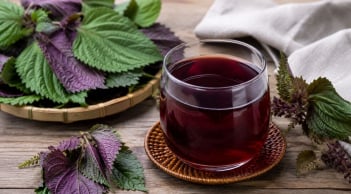 Uống tía tô nhớ tránh những sai lầm này, nhiều người đang mắc mà không hay