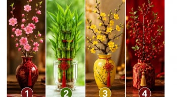  Chọn 1 cành lộc để xem vận tài chính của bạn đang theo xu hướng nào