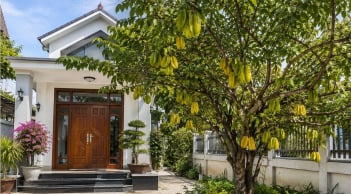 Có nên trồng cây khế trước nhà?