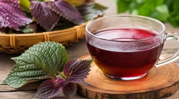 Uống nước tía tô hàng ngày có tốt không?