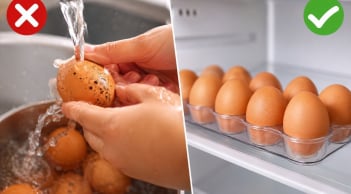 Vì sao không nên rửa trứng trước khi cất tủ lạnh? Rất nhiều người đang làm sai mà không biết