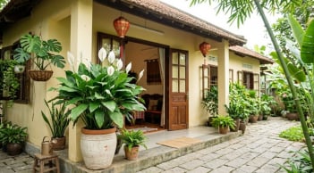 3 vị trí tốt nhất trồng cây Lan Ý hút lộc