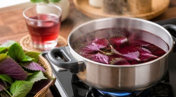 Nấu nước tía tô bao lâu là tốt nhất? Nhiều người đang làm sai bước này