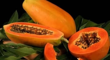 Thực phẩm giàu chất xơ: 5 loại trái cây cực tốt cho đại tràng