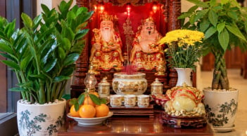 Cách trồng cây ở ban thờ Thần Tài giúp thu hút tài lộc, tăng sinh khí, gia chủ nên biết