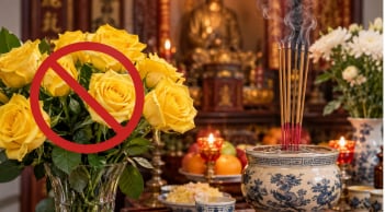 Vì sao hoa hồng vàng lại không được dùng thắp hương?