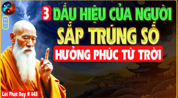 3 nét tướng của người Phúc Lộc dồi dào dễ gặp may mắn