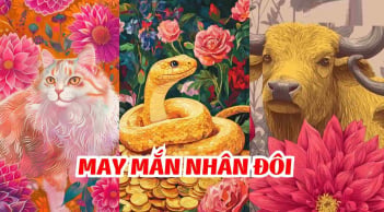 7 - 13/9 này, 4 con giáp này như bơi giữa biển Tiền