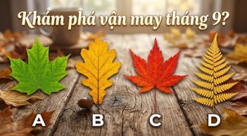 Đâu là chiếc lá bạn thích nhất để khám phá vận may tháng 9?
