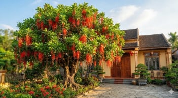 Trồng cây Lộc Vừng ở vị trí nào tốt nhất?