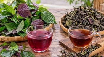 Uống nước lá tía tô tươi hay khô thì tốt hơn?