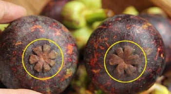 Mẹo chọn măng cụt ngọt lừ, múi to không sượng