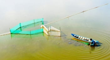Những nghề mưu sinh độc đáo trong mùa nước nổi miền Tây Nam Bộ