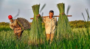Những nghề mưu sinh nhọc nhằn từ đồng đất đến phố thị Việt Nam