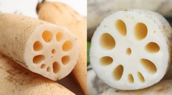 Nên chọn củ sen có bao nhiêu lỗ: Loại 7 hay 9 lỗ ngon hơn?