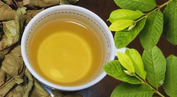 Nên uống nước lá ổi khô hay tươi?