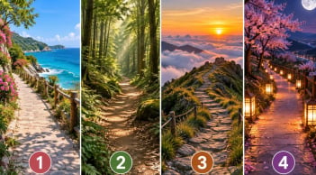 Trắc nghiệm: Chọn 1 con đường bạn muốn đi