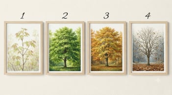 Chọn 1 cái cây bạn thích nhất sẽ nói lên vận may trong tháng 10 của bạn