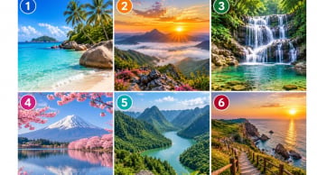 Trắc nghiệm: Chọn một cảnh thiên nhiên mà bạn muốn khám phá
