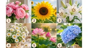 Trắc nghiệm: Niềm vui nào đang dần mở ra trong cuộc sống của bạn
