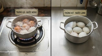 Vì sao khi luộc trứng gà nước nóng, trứng vịt lại nước lạnh?