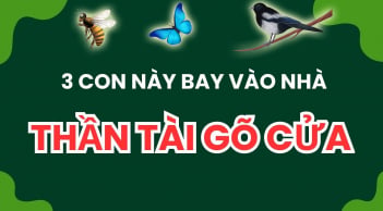 3 con vật vào nhà mang tới may mắn cho gia chủ