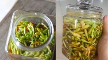 Cách làm hoa đu đủ đực ngâm mật ong để được lâu