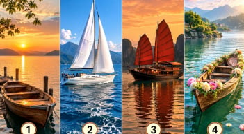 Chiếc thuyền nào ngoài kia mà bạn muốn lên, để xem vận khí giàu sang đang thế nào?