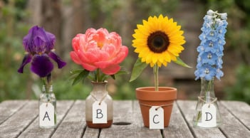 Chọn 1 bông hoa bạn thích nhất