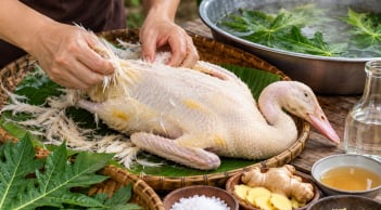 Mẹo nhổ sạch lông vịt, khử hôi: Dùng lá đu đủ theo cách này, lông tơ cũng dễ xử lý hơn
