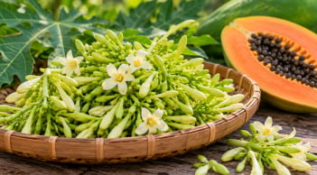 Hoa đu đủ đực không phải ai cũng nên dùng: 5 nhóm người cần đặc biệt cẩn thận