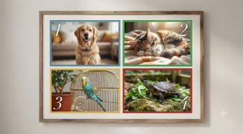 Chọn 1 con vật bạn muốn nuôi nhất sẽ nói trước điều bạn khát khao nhất