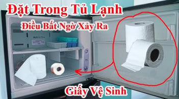 Vì sao nên đặt cuộn giấy vệ sinh vào ngăn mát tủ lạnh