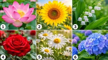 Bạn ấn tượng với bông hoa nào?