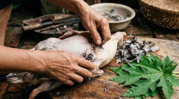 Cách làm sạch lông măng vịt cực nhanh, khử luôn cả mùi hôi