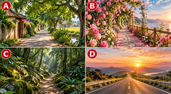 Hãy chọn 1 con đường bạn muốn đi qua