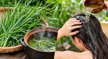 Vì sao nhiều người mách nhau gội đầu bằng nước cỏ mần trầu?