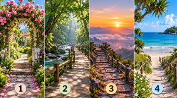 Chọn 1 lối đi bạn muốn bước vào, xem điều mới mẻ nào sắp mở ra