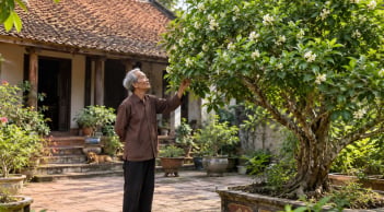 2 người hợp tuổi trồng cây Nguyệt Quế, tiền vào như nước