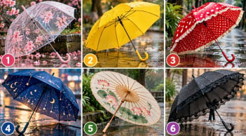Chọn 1 chiếc ô bạn muốn cầm khi trời mưa