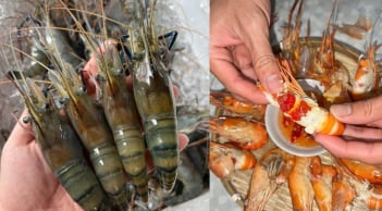 Phần đen trên đầu tôm là gạch hay chất thải: Cách đơn giản để phân biệt