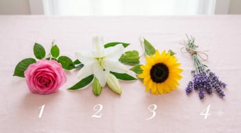Chọn một trong 4 bông hoa bạn thích nhất: Khám phá điều bạn đang cần nhất trong cuộc sống