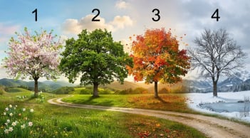 Trắc nghiệm: Lựa chọn 1 cái cây sẽ nói cho bạn biết tháng 9 âm bạn giàu có hay không?