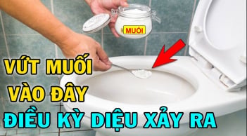 Vì sao nên bỏ chút muối vào bồn cầu