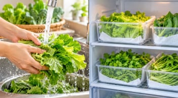 Có nên rửa rau trước khi cất tủ lạnh?