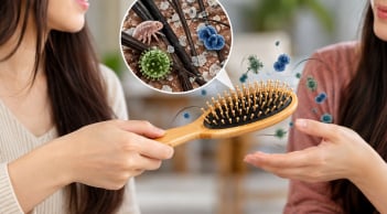 Vì sao không nên cho mượn lược chải tóc?