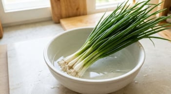 Hành lá cất trong tủ lạnh vẫn nhanh hỏng, làm theo cách này để cả tháng vẫn tươi