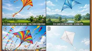 Hãy chọn 1 cánh diều mà bạn thích nhất?