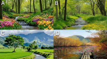 Hãy chọn 1 dòng suối bạn thích nhất?