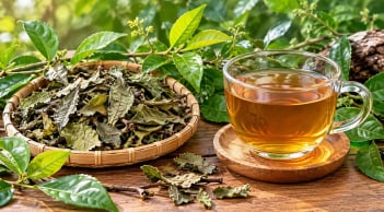Những người nên cẩn thận khi uống nước xạ đen, không phải ai cũng phù hợp